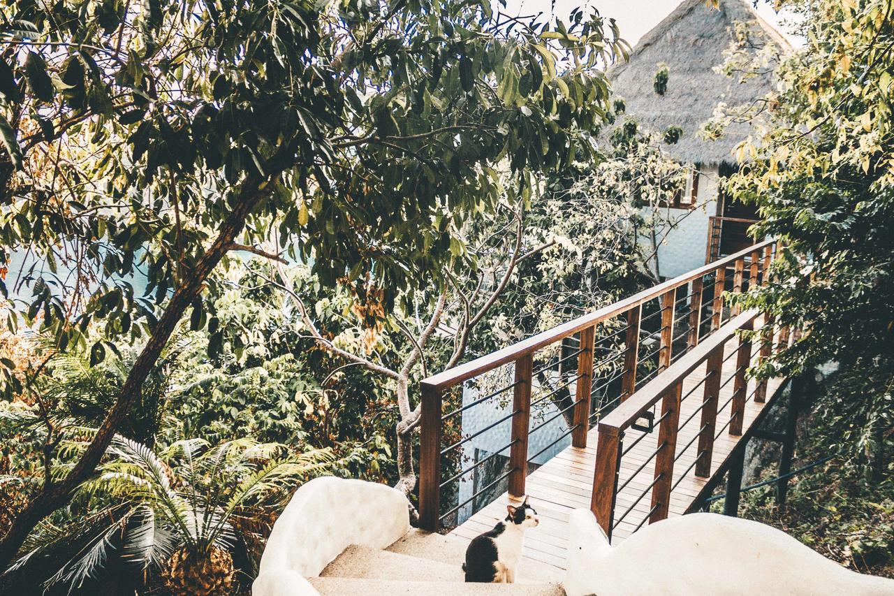 Langkhai Garden Ko Tao Buitenkant foto